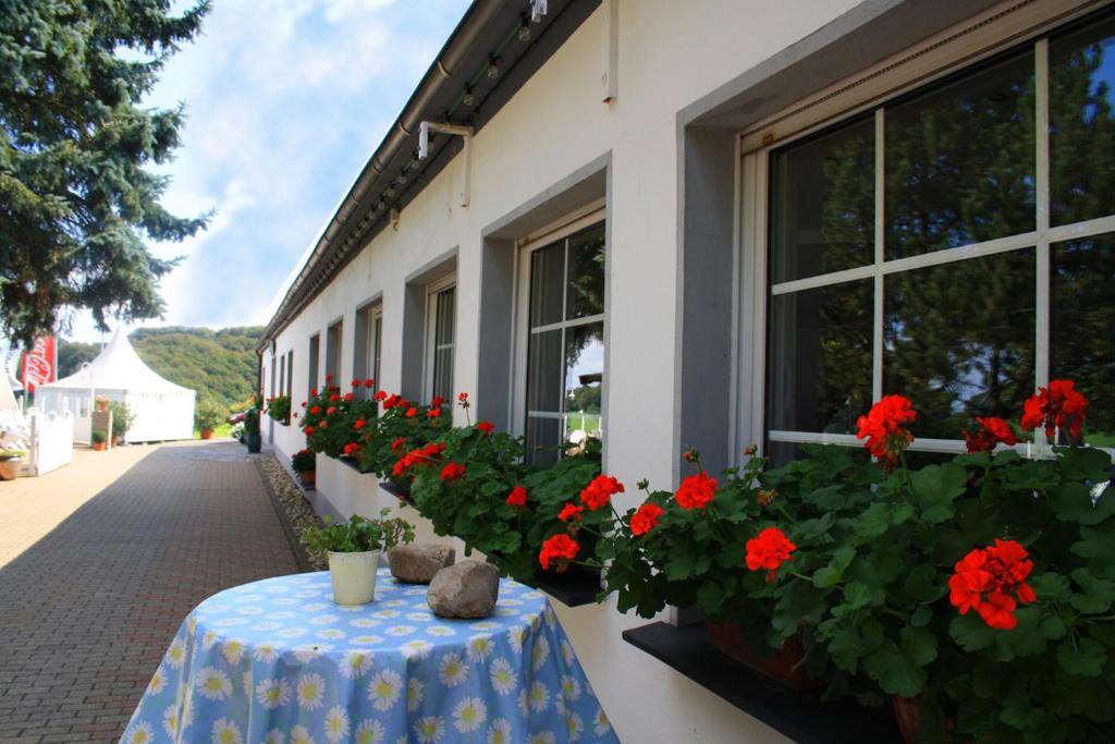 Hotel Landhaus Siebe Hattingen Exterior foto